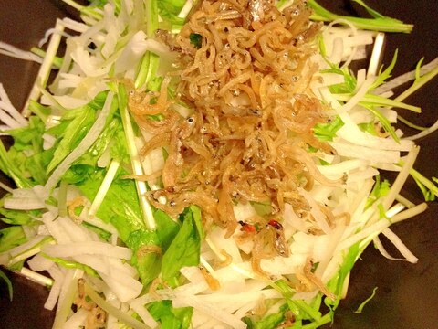 水菜 と 大根 の サラダ